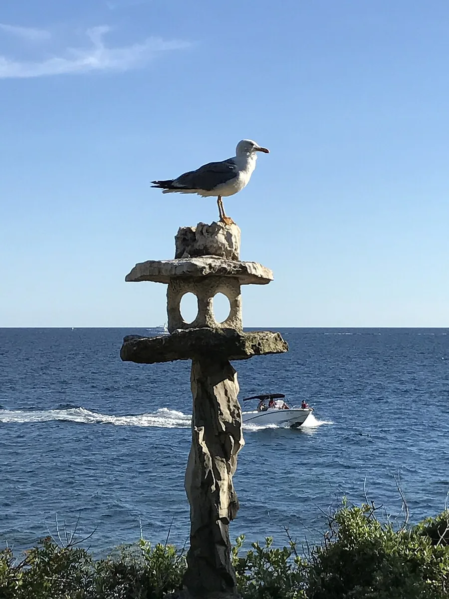 Crveni otok